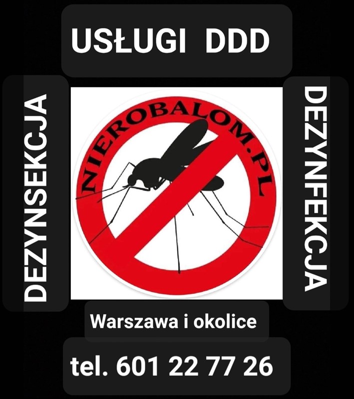 Usługi DDD Warszawa