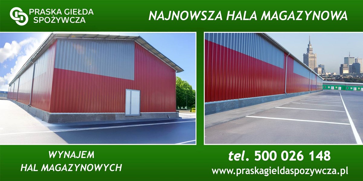 Hala/Magazyn na wynajem