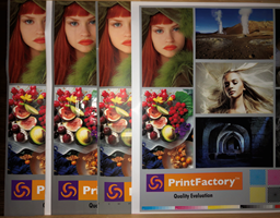 ProofMaster PrintFactory licencje licences dealer PL-EU